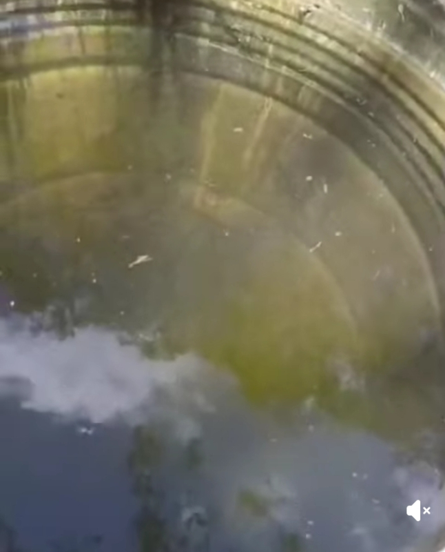 foto Notícia Cláudio