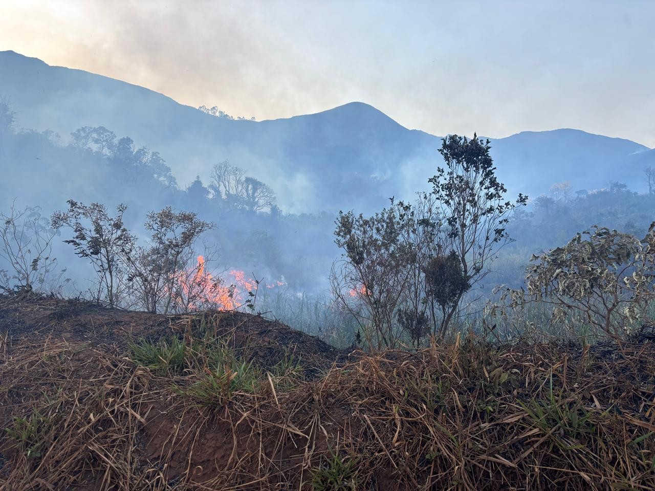 foto Not&iacute;cia Cláudio