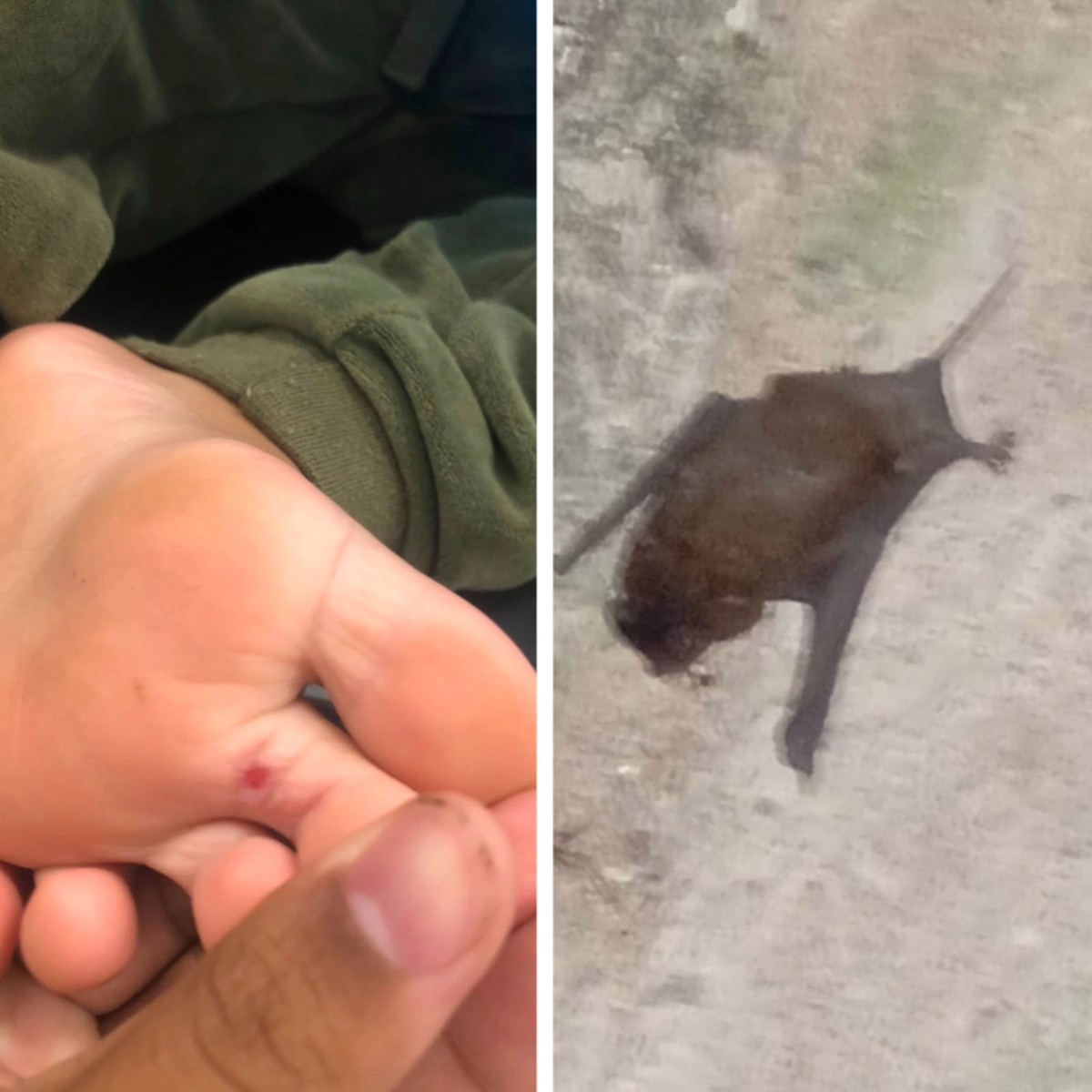 foto Not&iacute;cia Cláudio